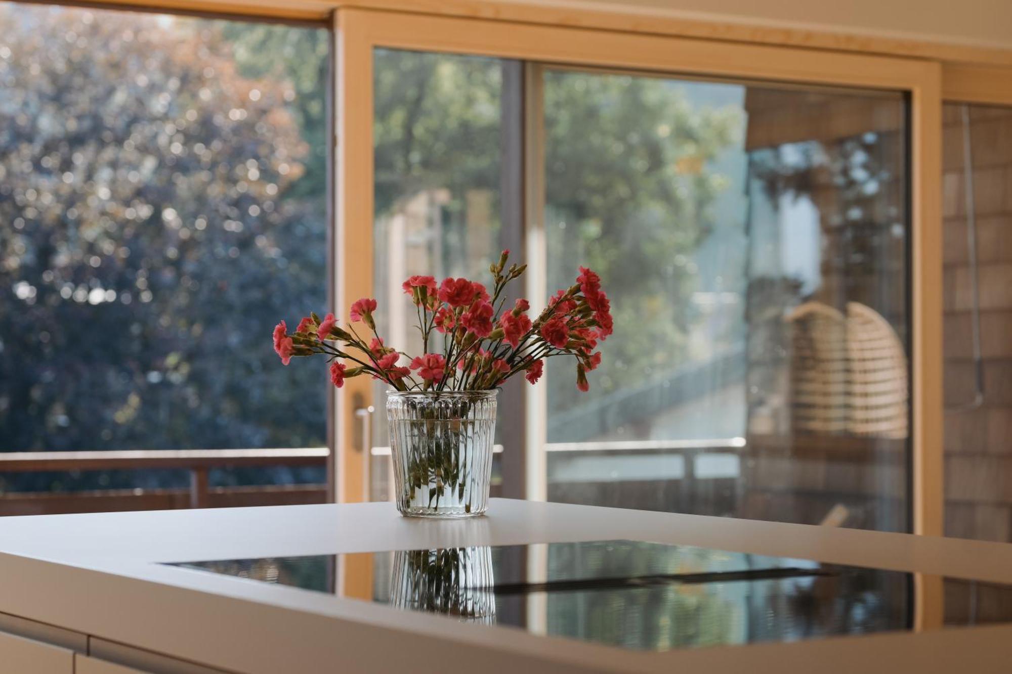 Meinnaturgut Mit Sauna Apartament